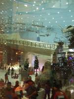 Mall of the Emirates (22)